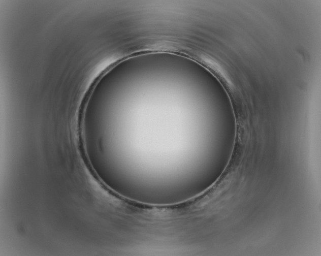 X0000112371087200908131512