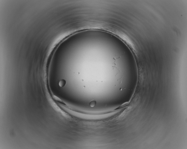 X0000112371088200908131512