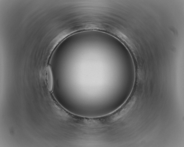 X0000112371089200908131512