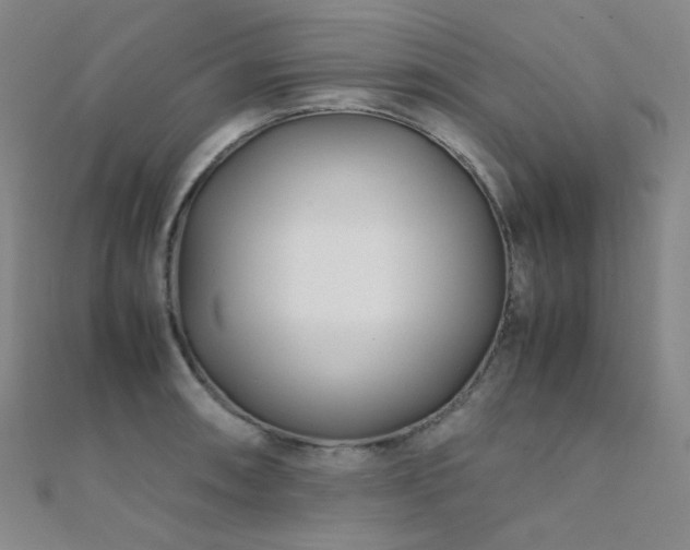 X0000112371090200908131512