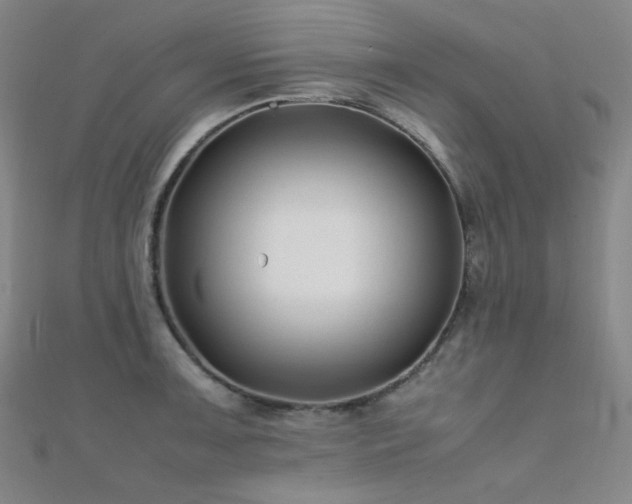 X0000112371091200908131512
