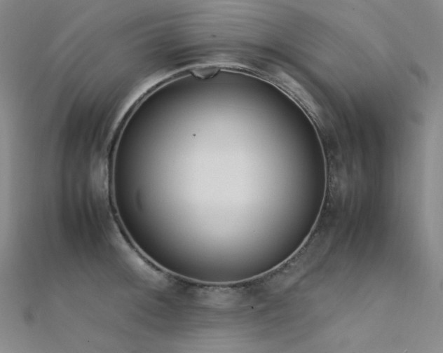 X0000112371092200908131512