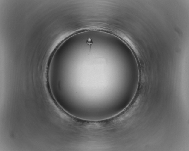 X0000112371093200908131512