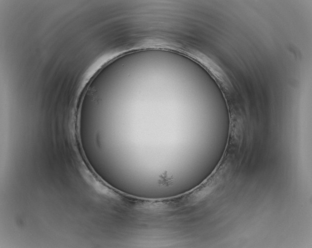 X0000112371094200908131512