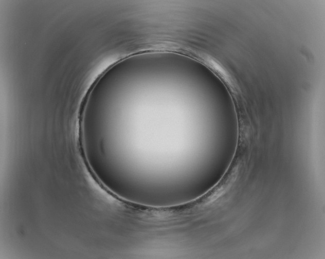 X0000112371095200908131512