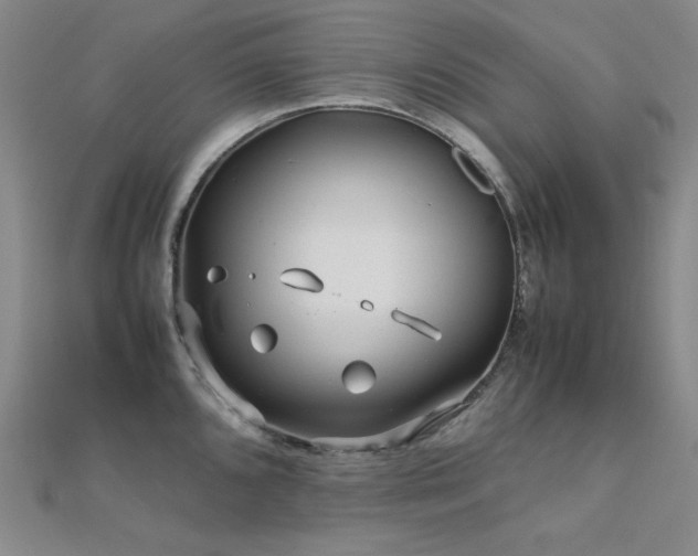 X0000112371096200908131512