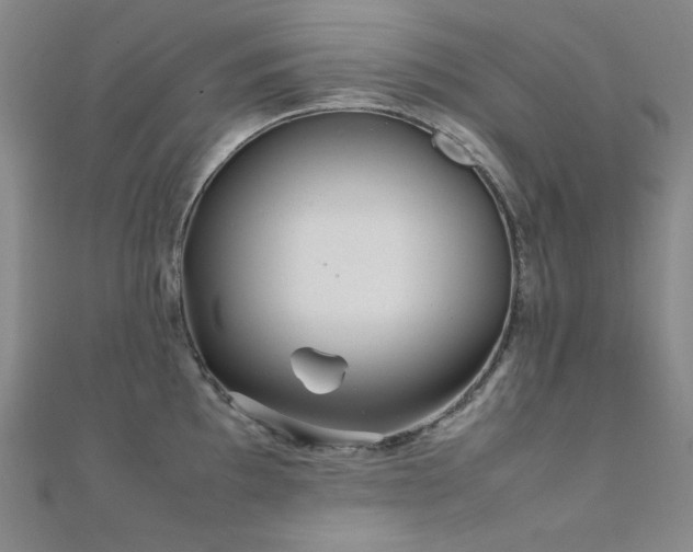 X0000112371097200908131512