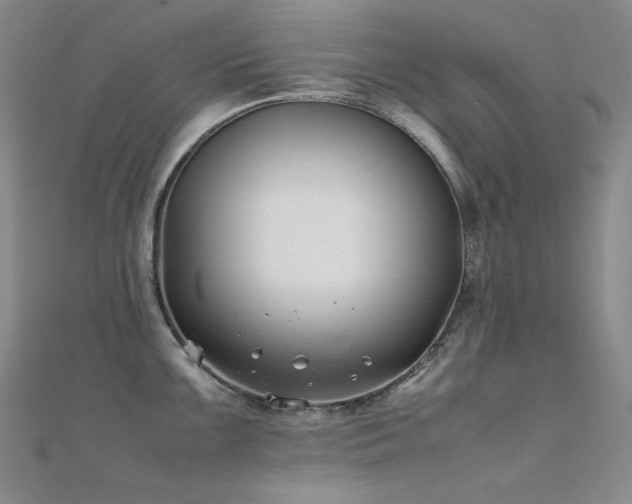 X0000112371099200908131512