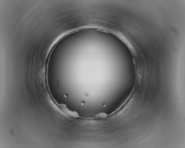 X0000112371100200908131512