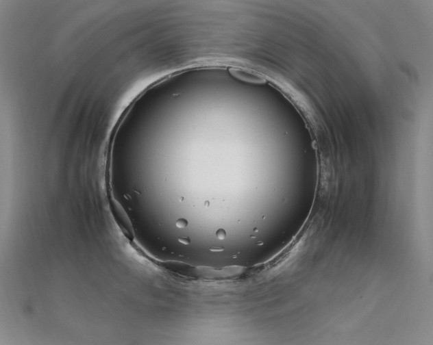 X0000112371102200908131512
