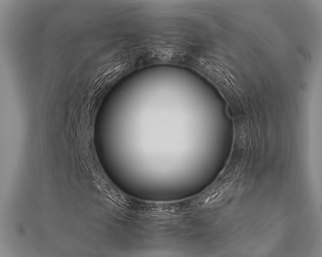 X0000112371105200908131511