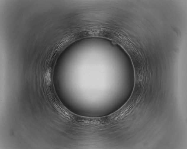 X0000112371106200908131511