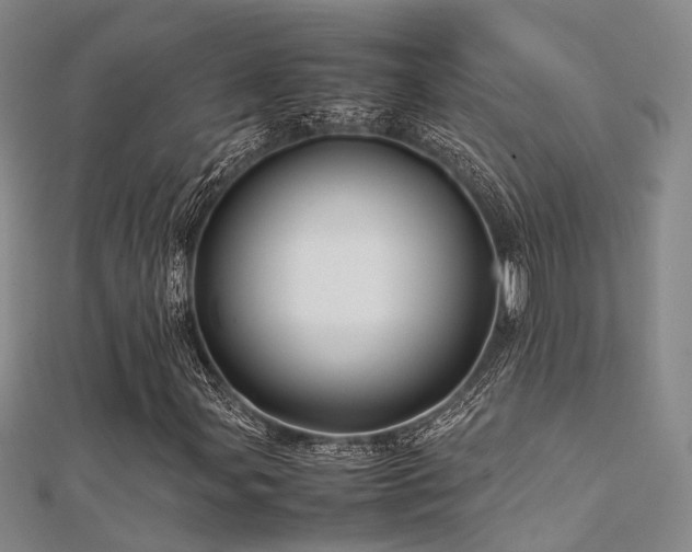 X0000112371107200908131511