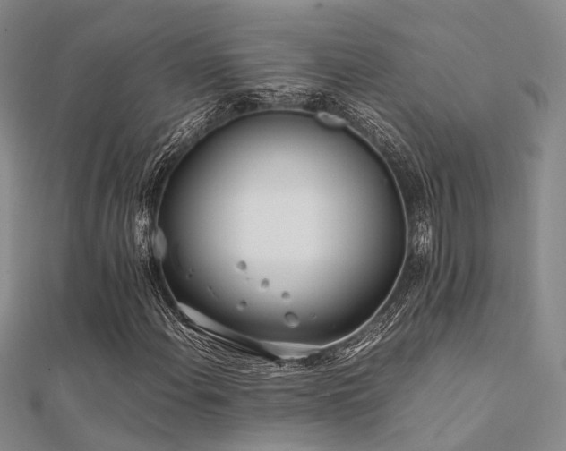 X0000112371108200908131511
