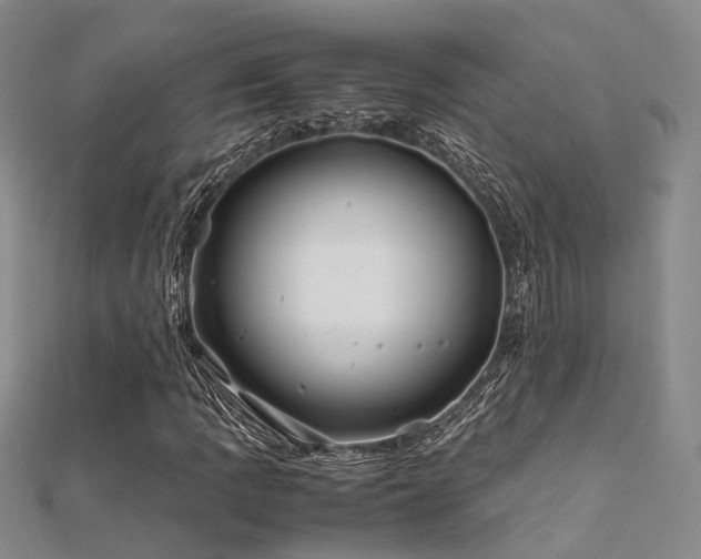 X0000112371109200908131511