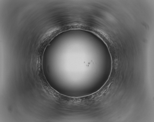 X0000112371111200908131511