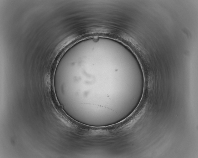 X0000112371113200908131511