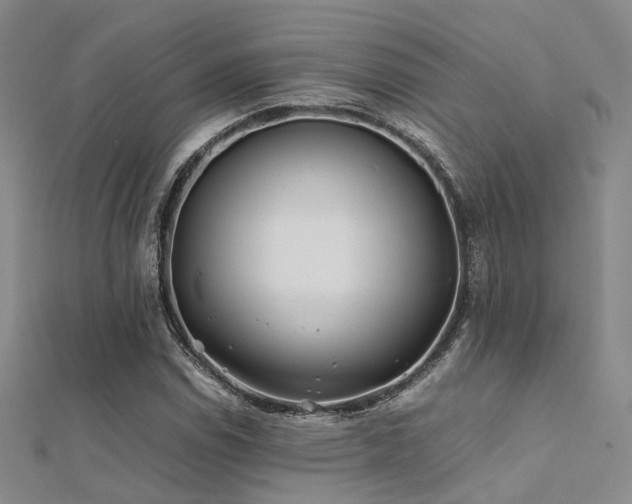 X0000112371114200908131511