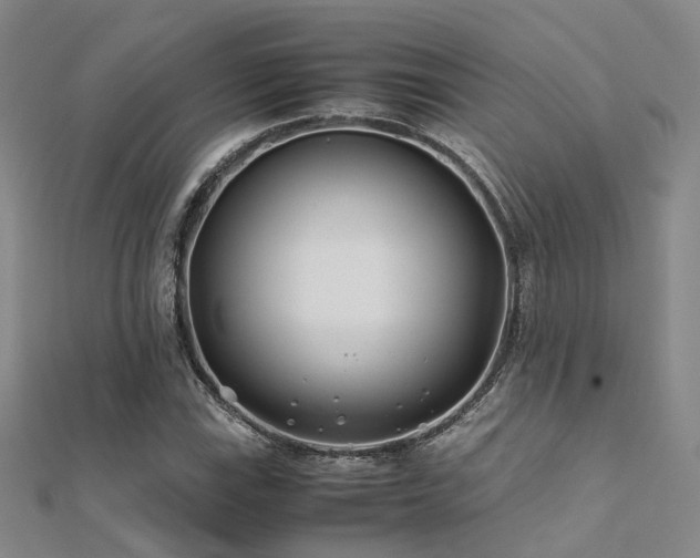 X0000112371115200908131511