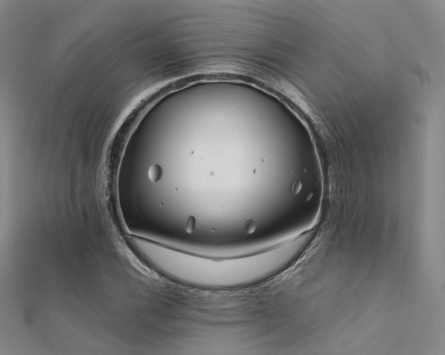 X0000112371116200908131511