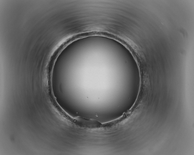 X0000112371118200908131511