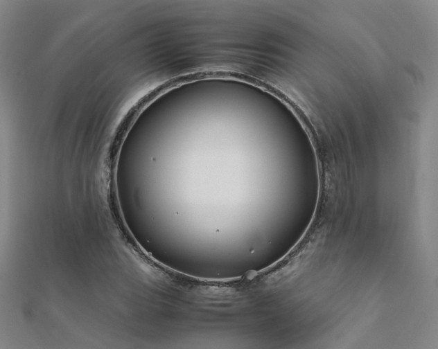 X0000112371119200908131512