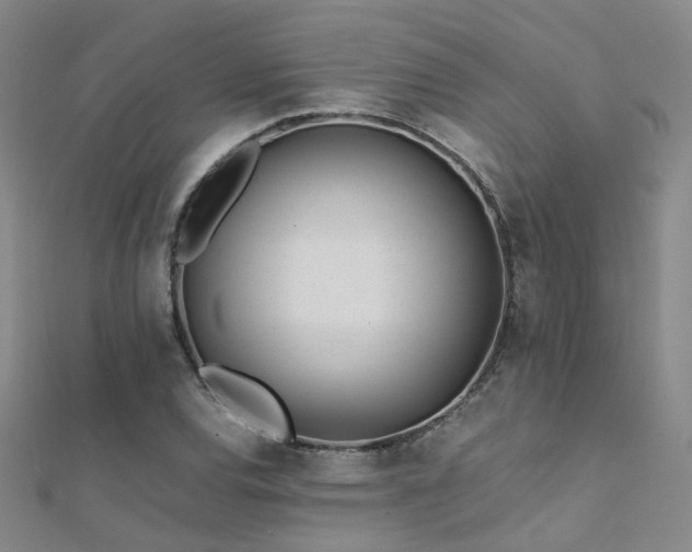X0000112371120200908131512