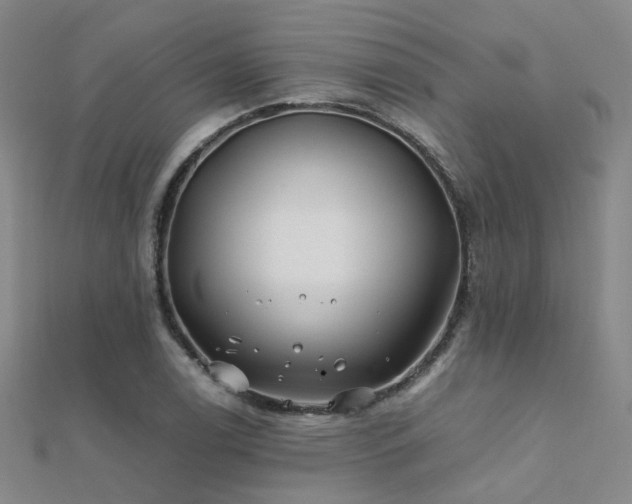 X0000112371122200908131512