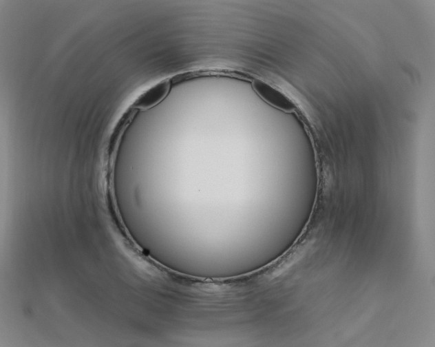 X0000112371124200908131512