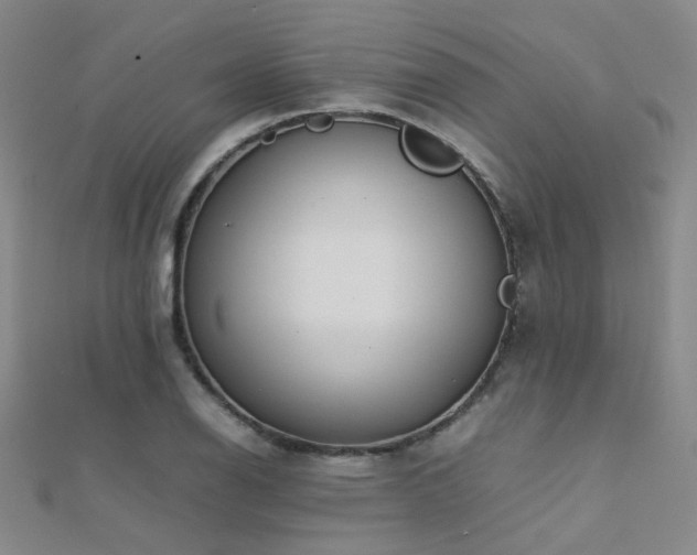 X0000112371126200908131512
