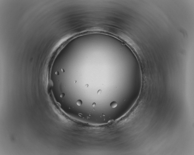 X0000112371127200908131512