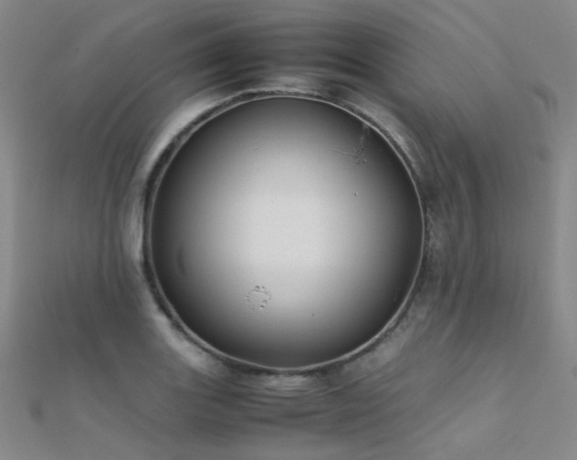 X0000112371131200908131512