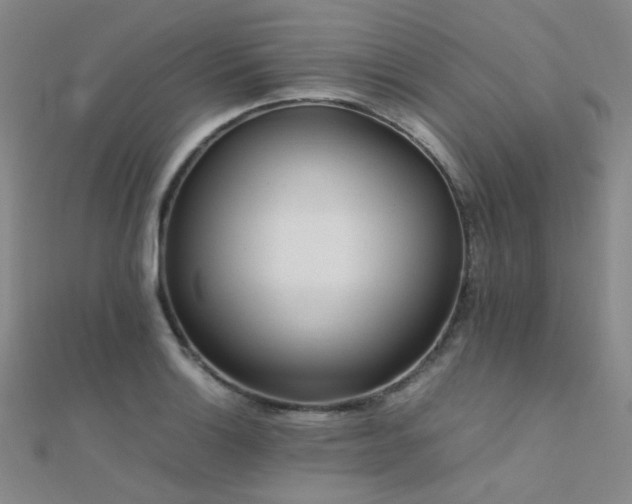 X0000112371132200908131512