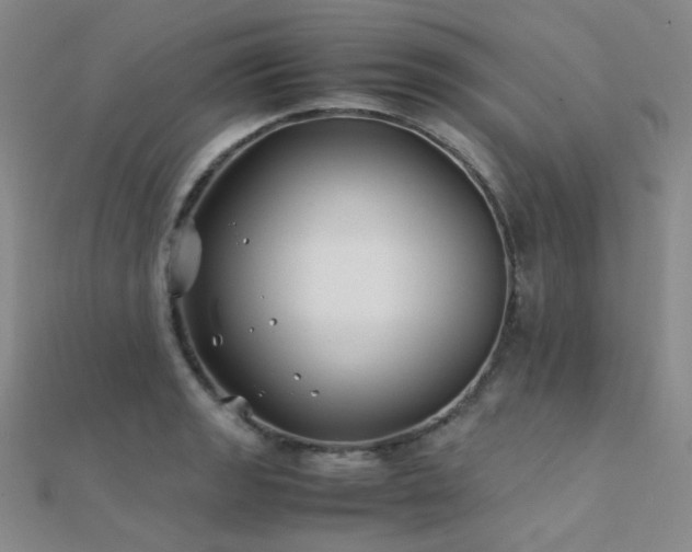 X0000112371133200908131512