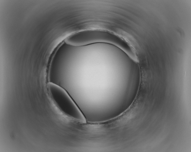 X0000112371134200908131512