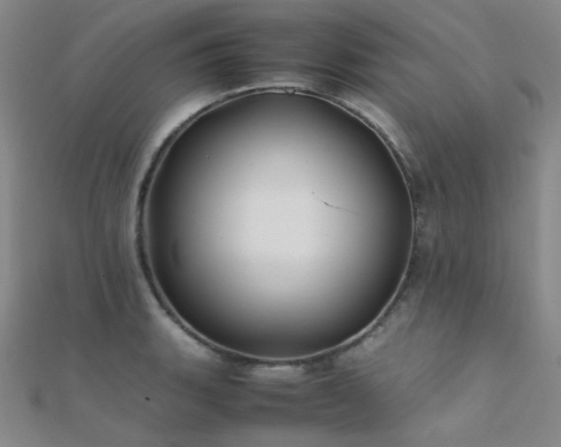X0000112371135200908131512