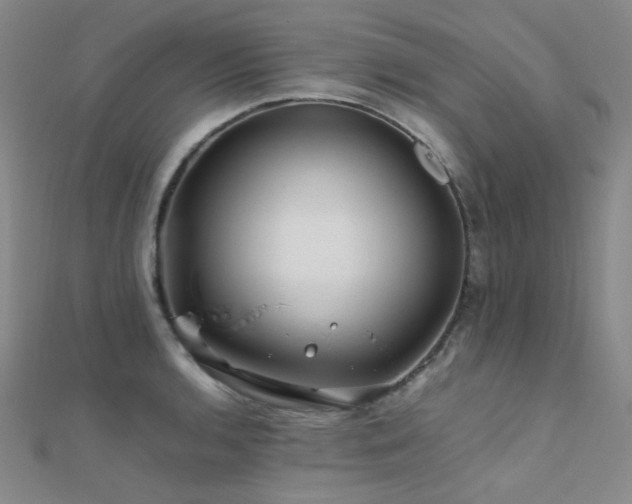 X0000112371136200908131512