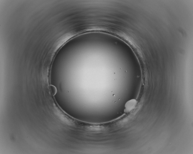 X0000112371137200908131512