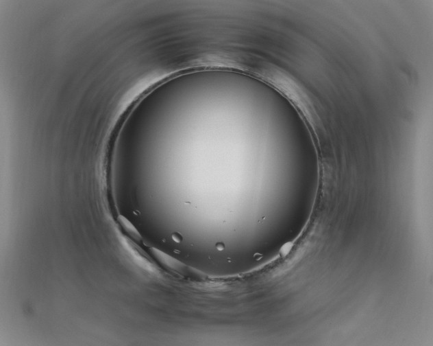 X0000112371141200908131512