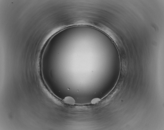 X0000112371142200908131512