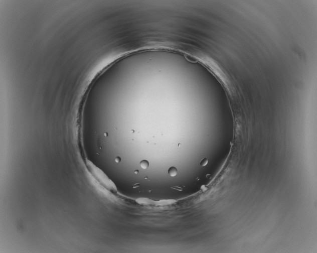 X0000112371143200908131512