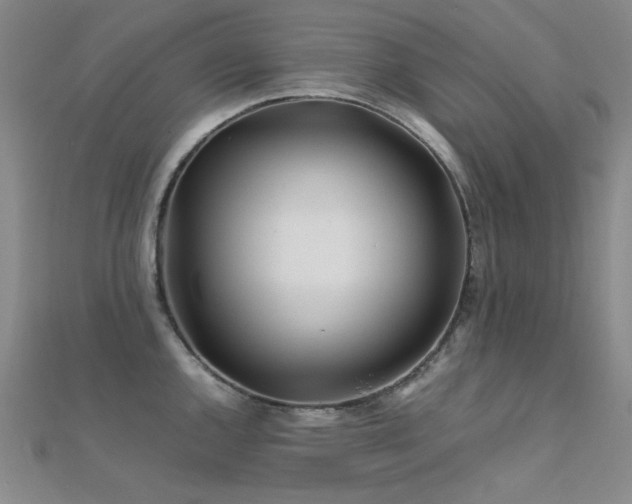 X0000112371144200908131512