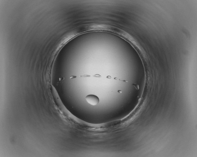 X0000112371145200908131512