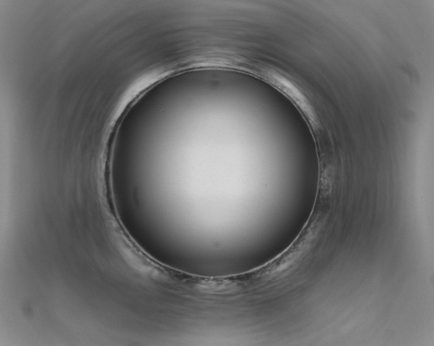 X0000112371146200908131512