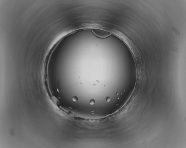 X0000112371147200908131512