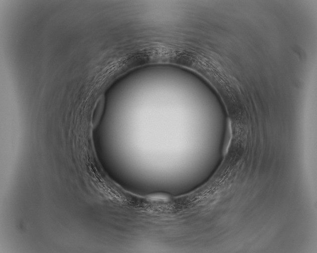 X0000112371153200908131511