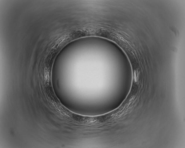 X0000112371155200908131511