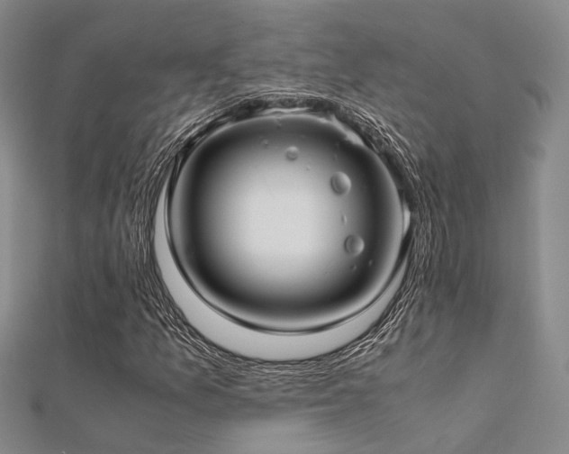 X0000112371157200908131511
