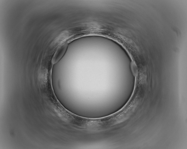 X0000112371161200908131511