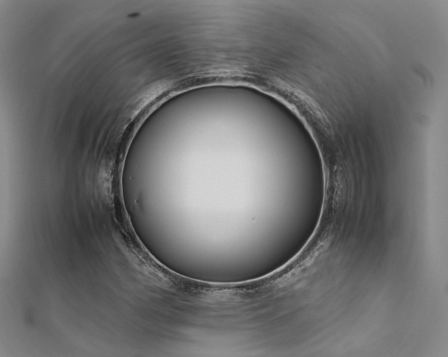 X0000112371162200908131511